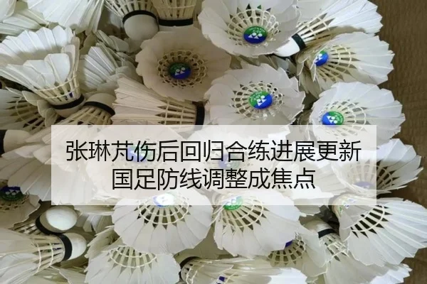 张琳芃伤后回归合练进展更新 国足防线调整成焦点